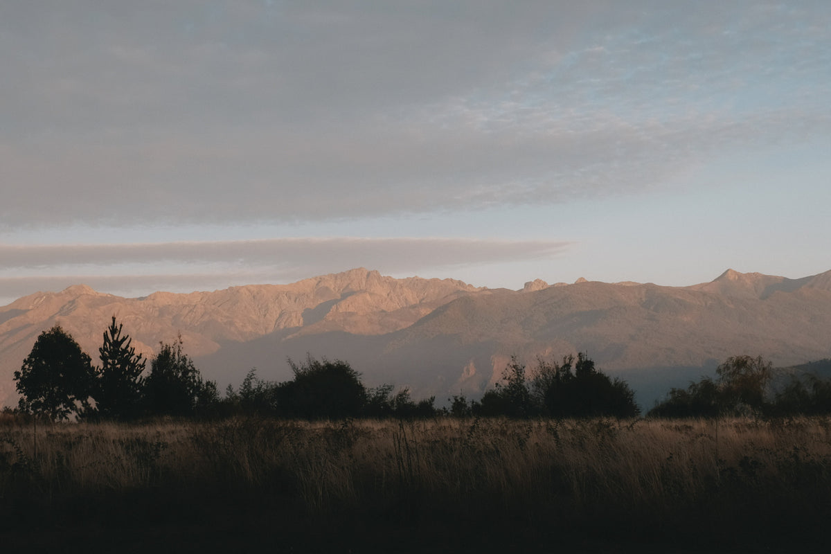 Alba