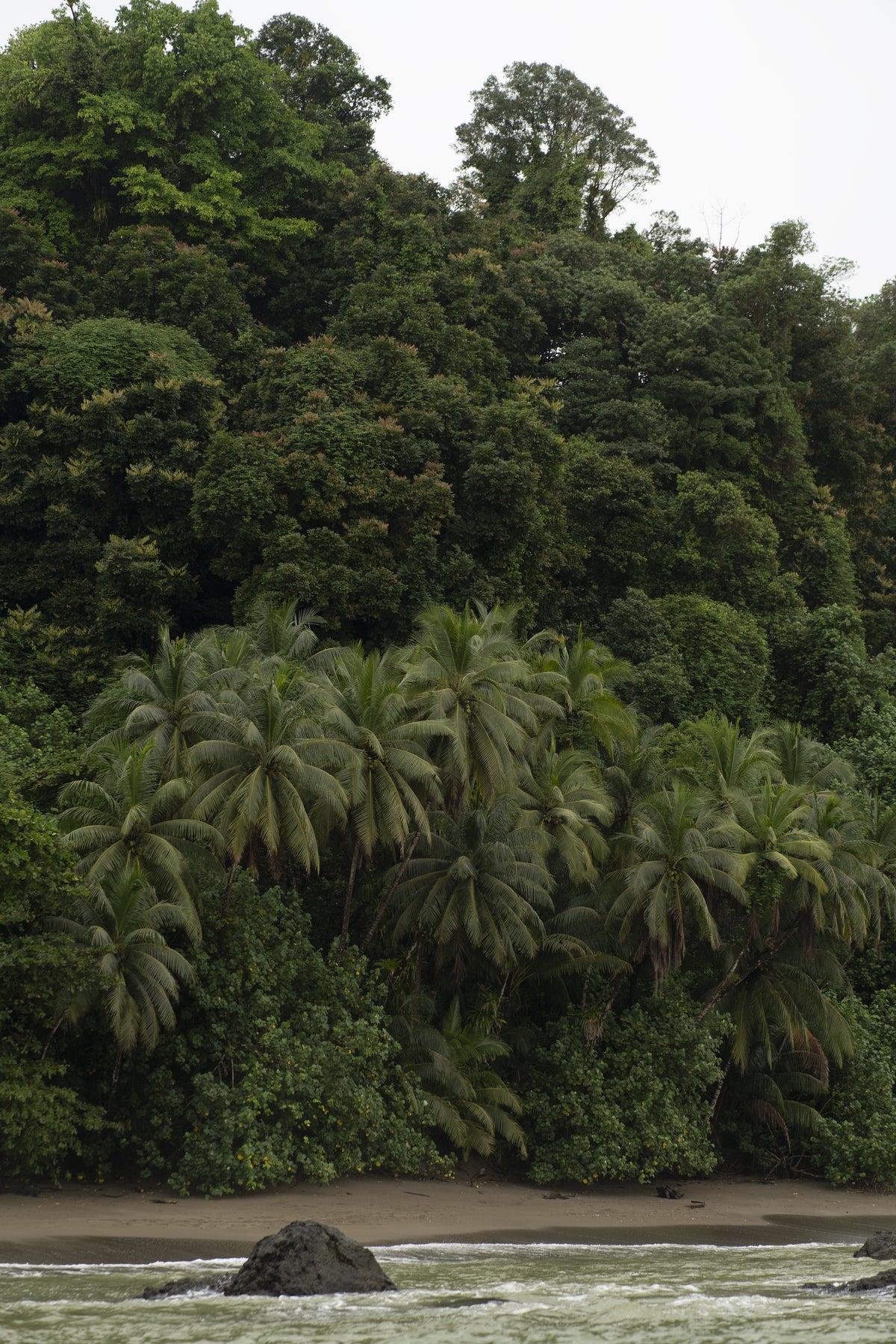 Corcovado