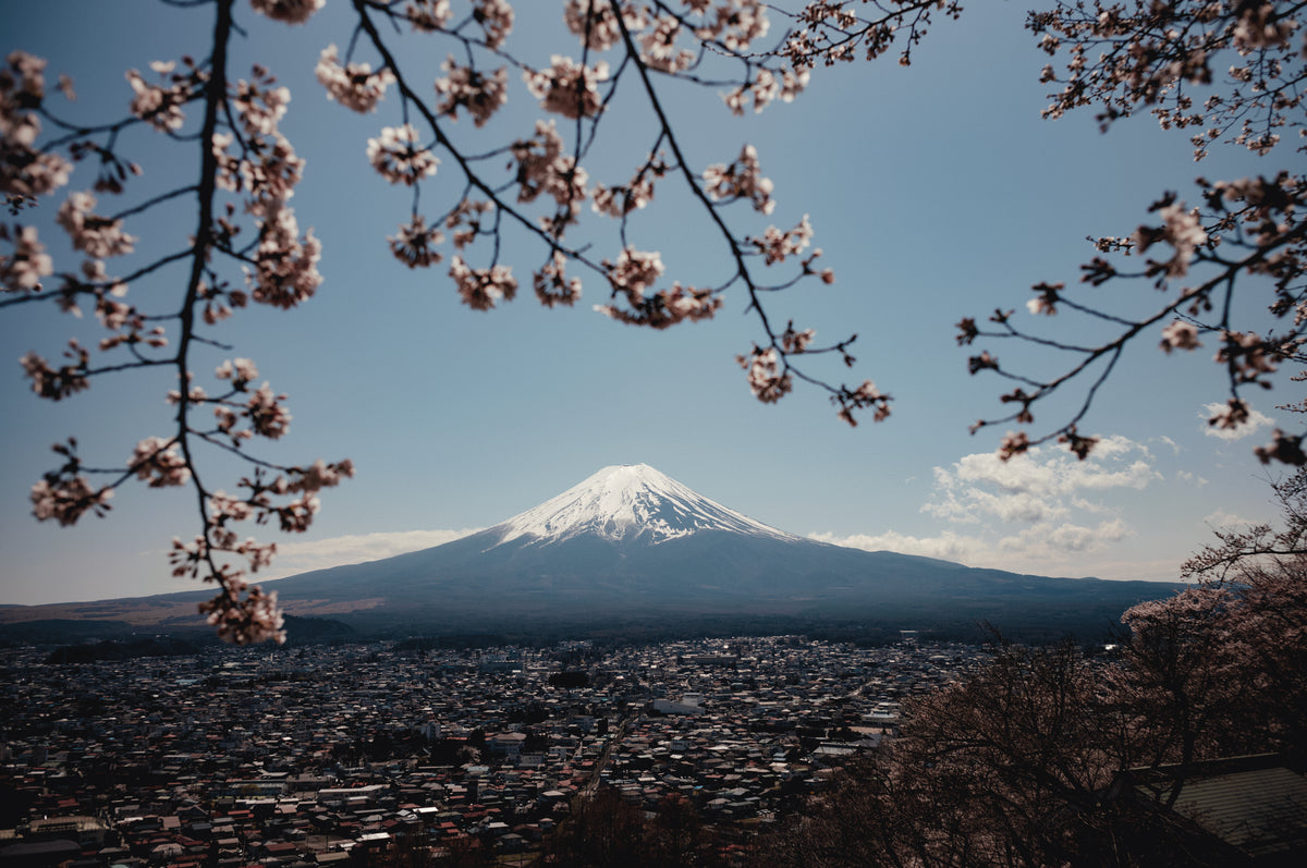 Mt Fuji