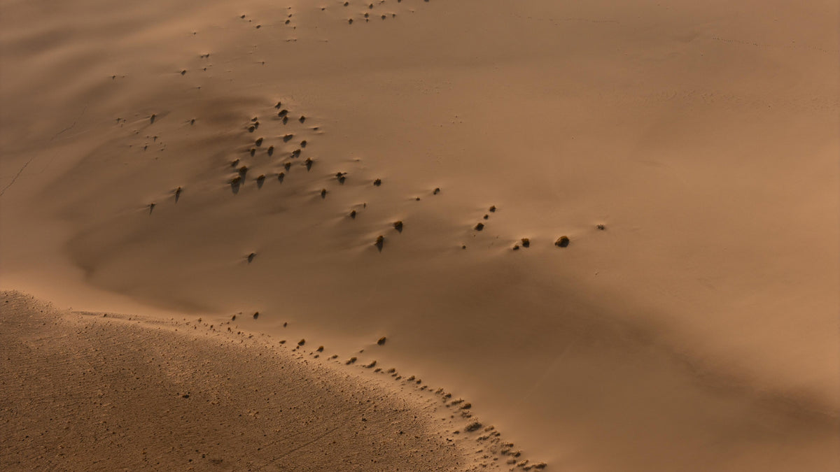 Dunas Chipehua - 006