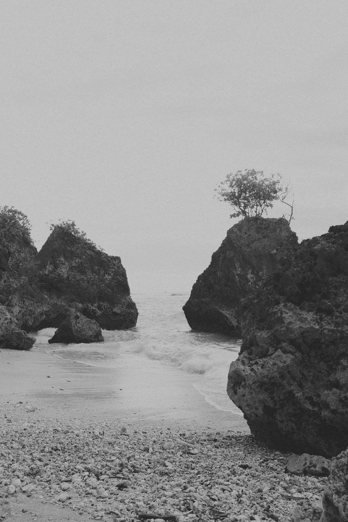 Entre