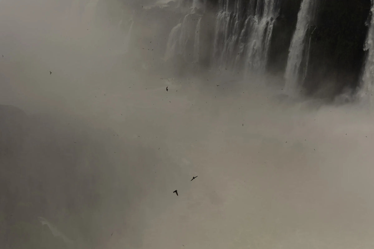 Iguazu
