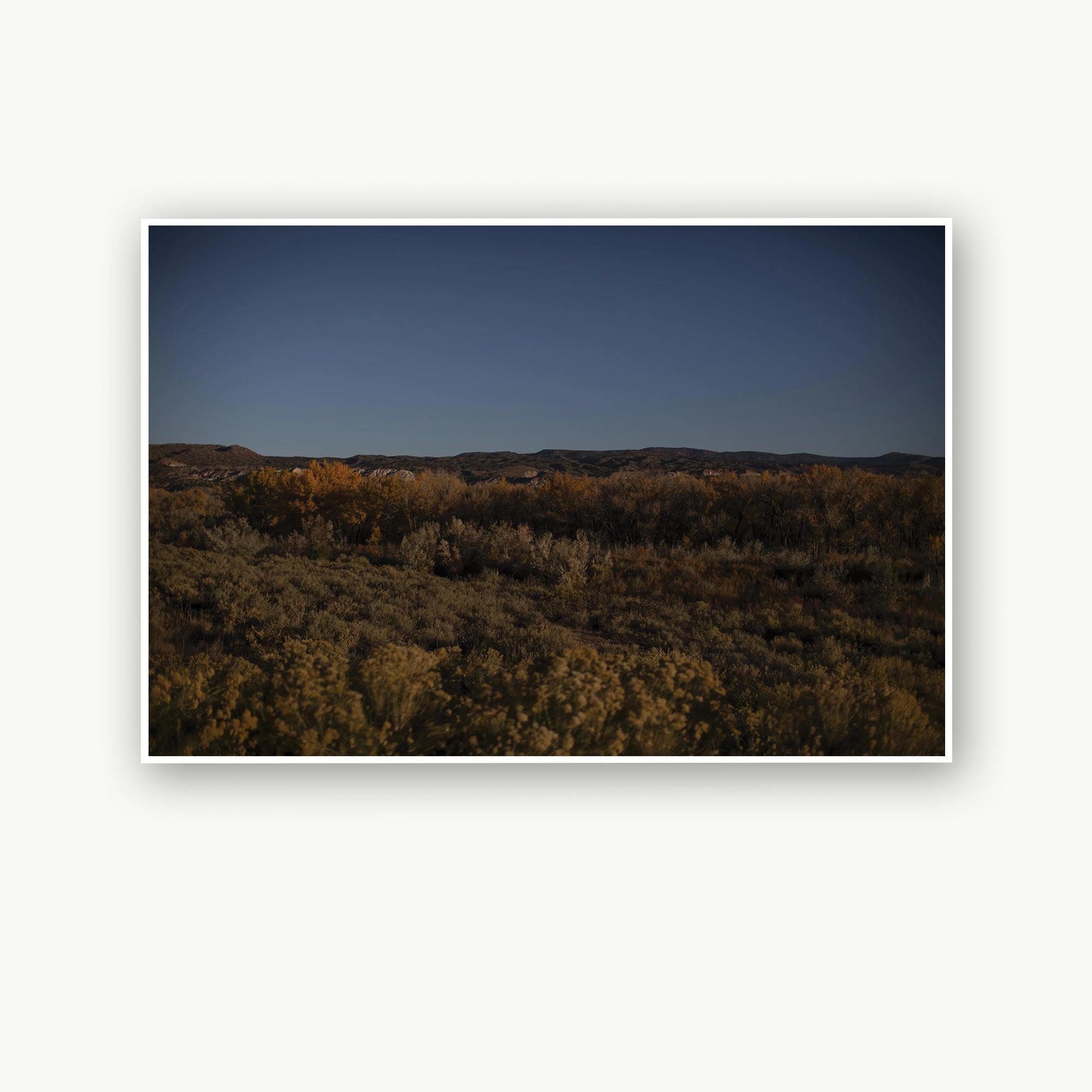 Untitled 05