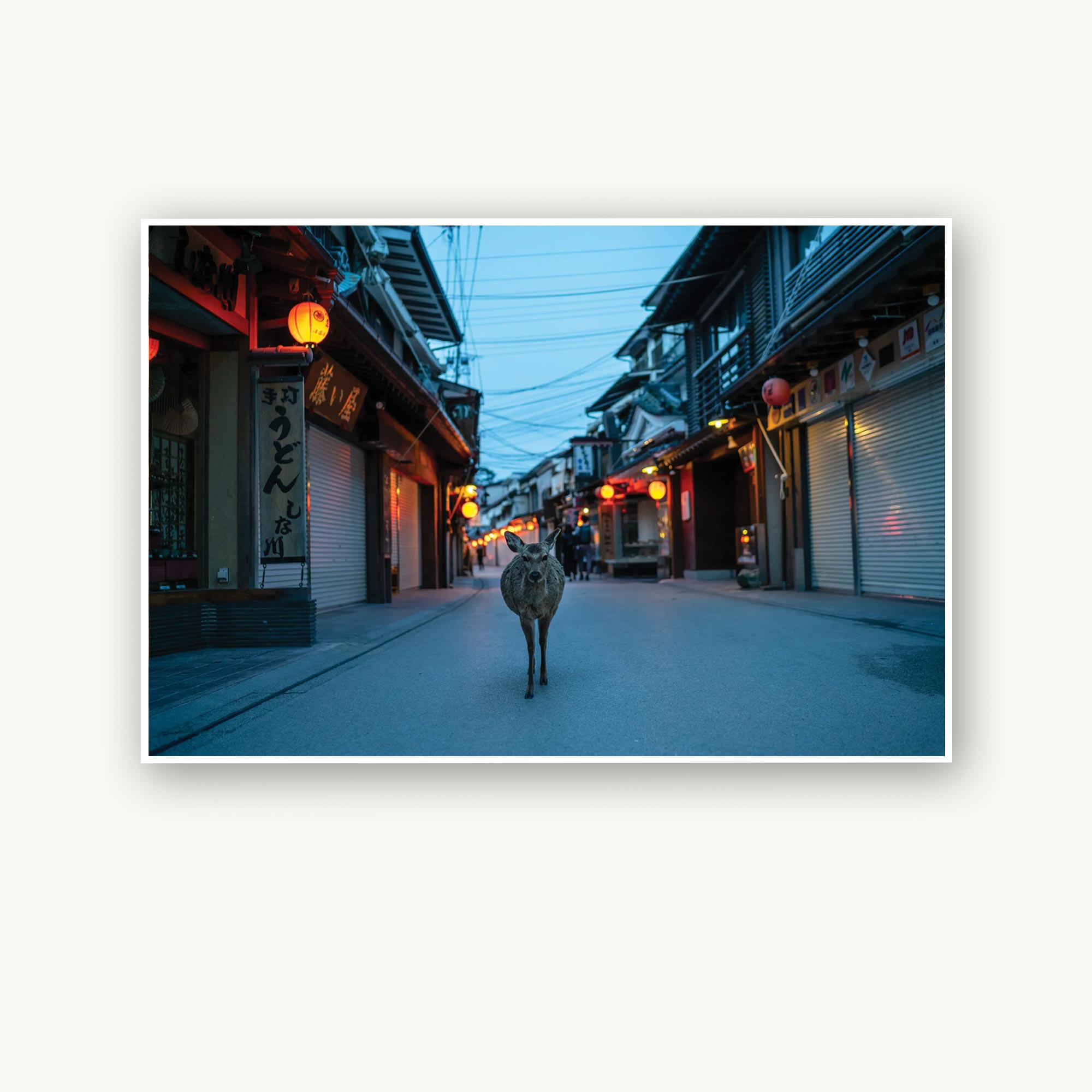 Recibiendo a los turistas