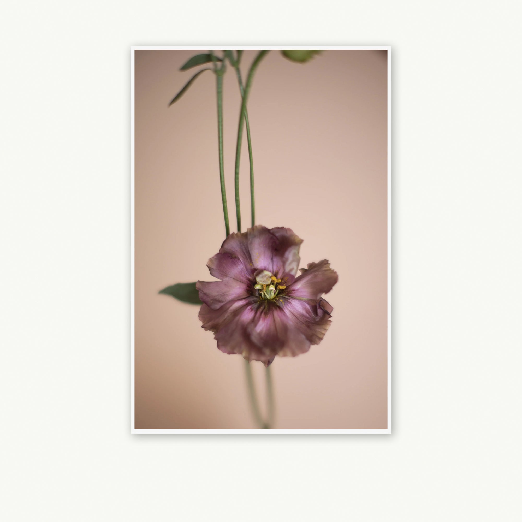 Untitled 04